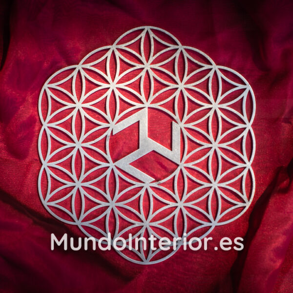 Parrilla de Reiki :: Antakarana (20 cm)