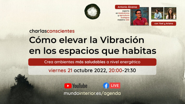 Lee más sobre el artículo Cómo elevar la Vibración en los espacios que habitas