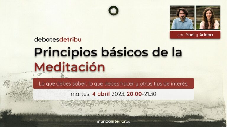 Lee más sobre el artículo Principios básicos de la Meditación